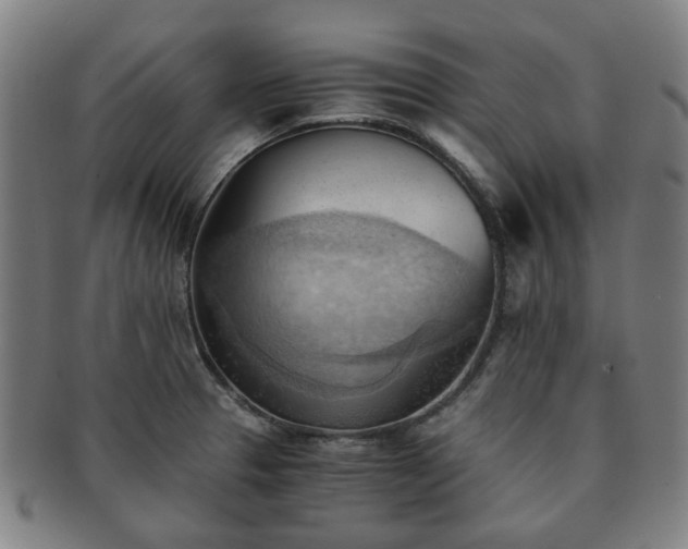 X0000091571329200708271149