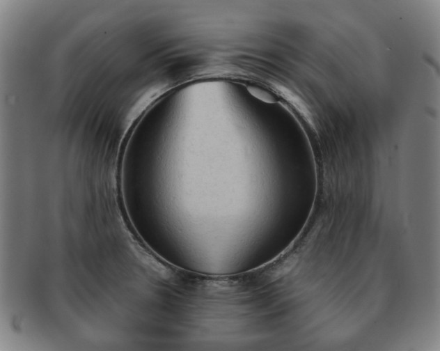 X0000091571330200708271149