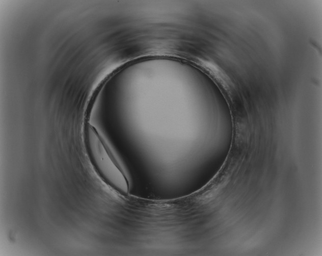 X0000091571331200708271149