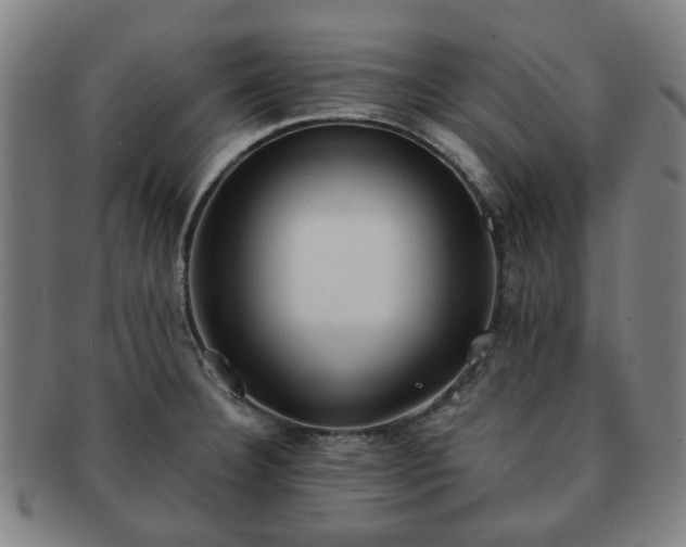 X0000091571332200708271149