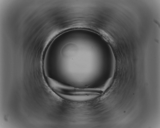 X0000091571334200708271149