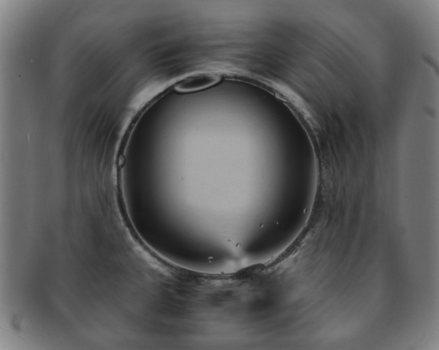 X0000091571335200708271149