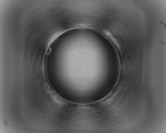 X0000091571336200708271149