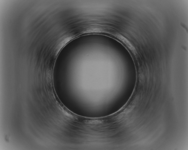 X0000091571337200708271149