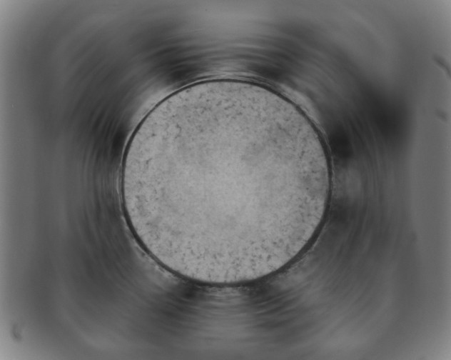 X0000091571338200708271149