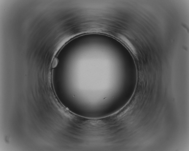 X0000091571340200708271149