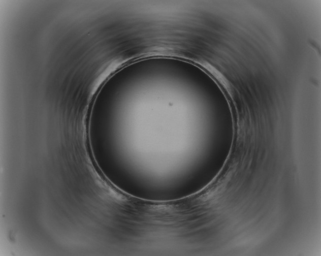X0000091571341200708271149