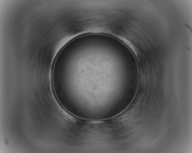 X0000091571343200708271149
