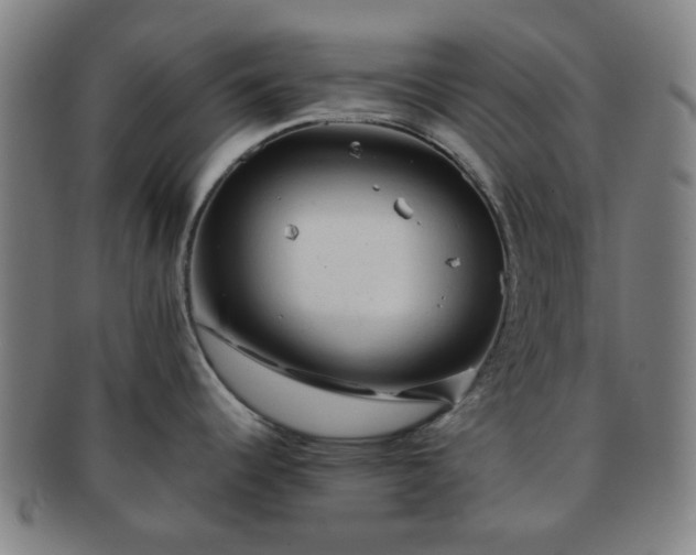 X0000091571344200708271149