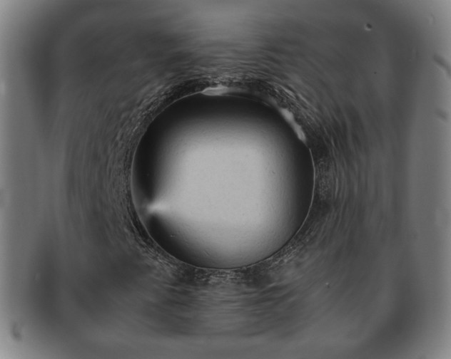X0000091571345200708271149