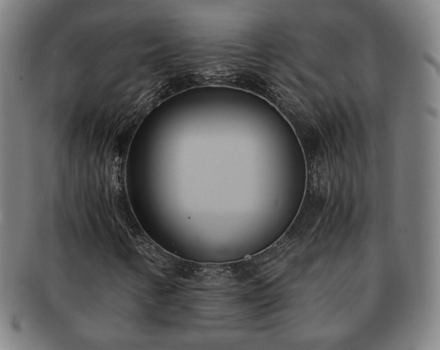 X0000091571346200708271149
