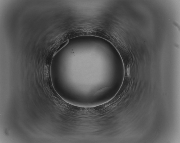 X0000091571347200708271149