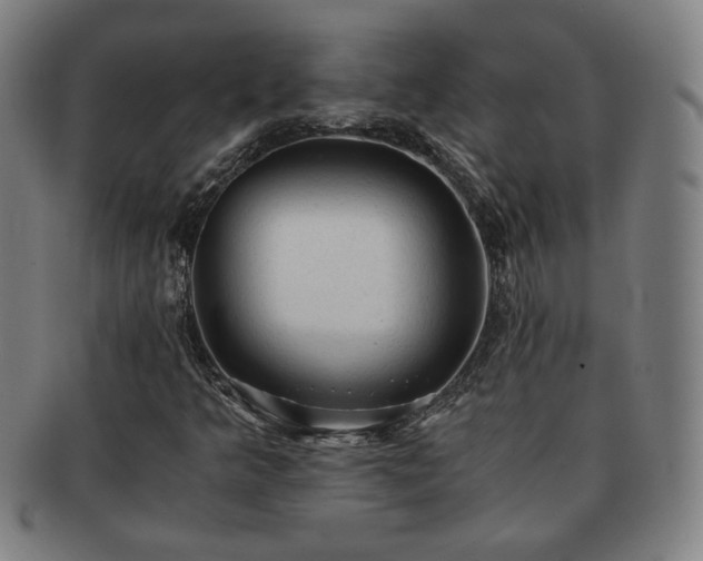 X0000091571349200708271149