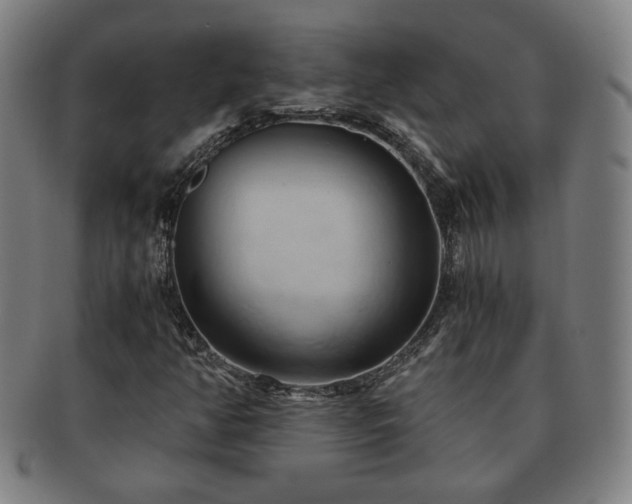 X0000091571350200708271149