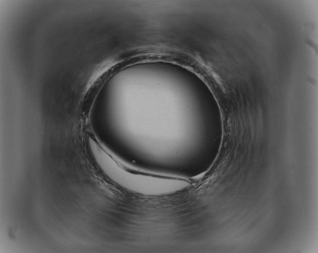 X0000091571352200708271149