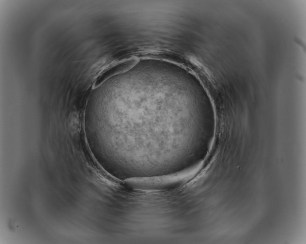 X0000091571353200708271149