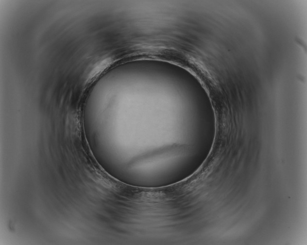 X0000091571354200708271149