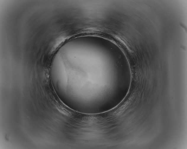 X0000091571355200708271148