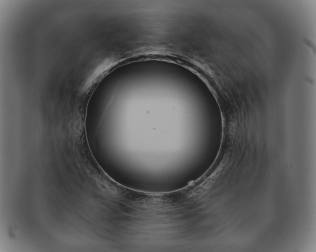 X0000091571359200708271148