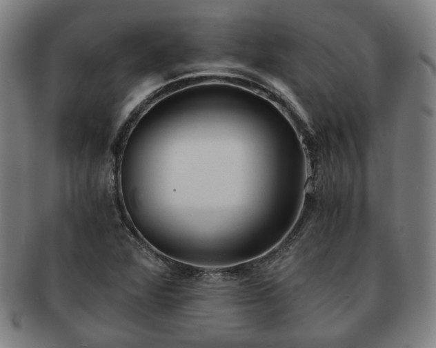 X0000091571360200708271148