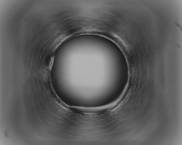 X0000091571361200708271148