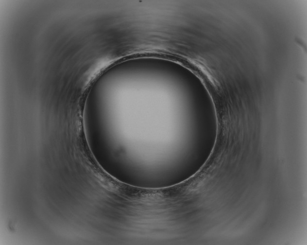 X0000091571363200708271148