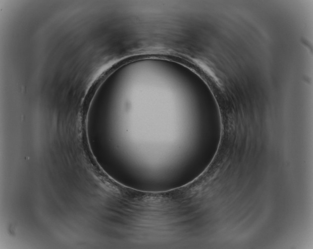 X0000091571364200708271148