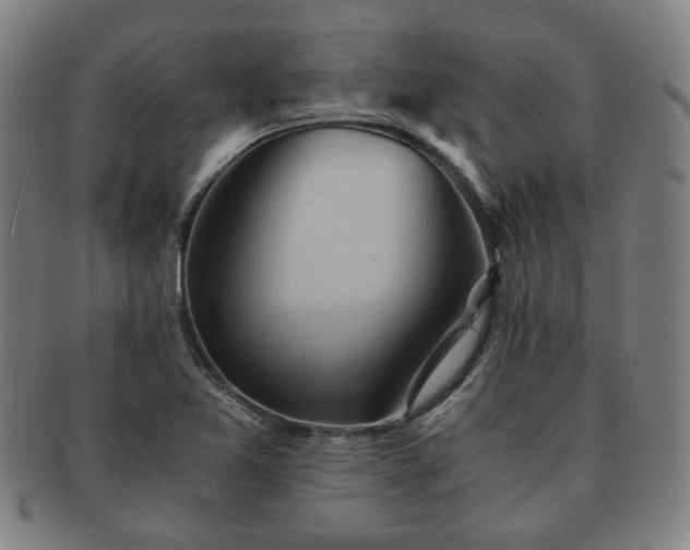 X0000091571365200708271148