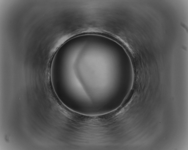 X0000091571367200708271148