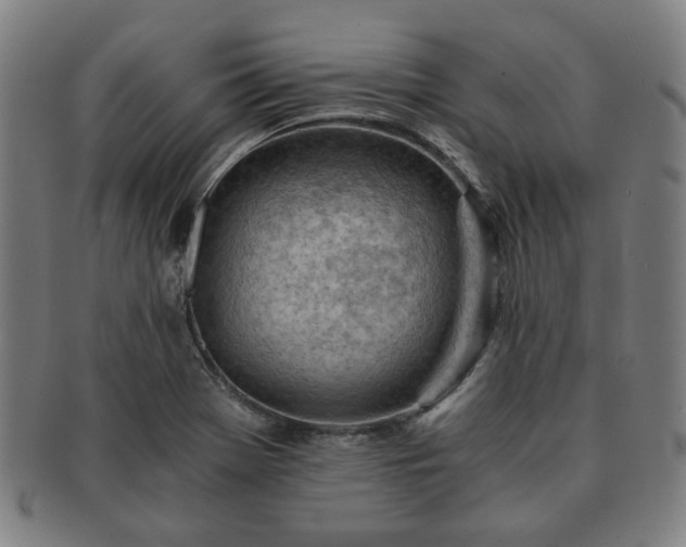 X0000091571369200708271148