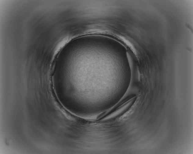 X0000091571373200708271148