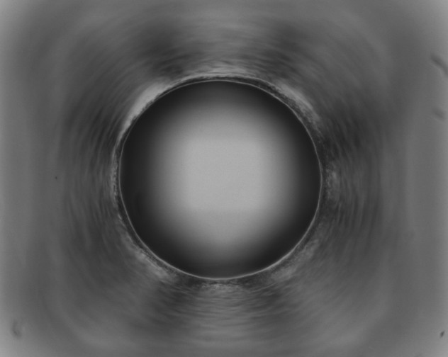 X0000091571374200708271148