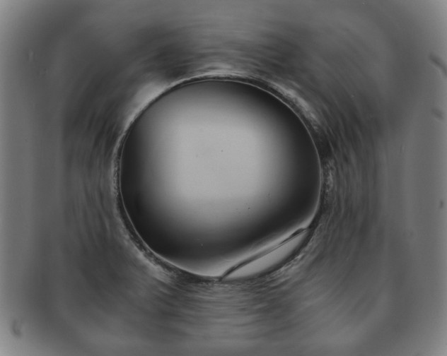 X0000091571375200708271148