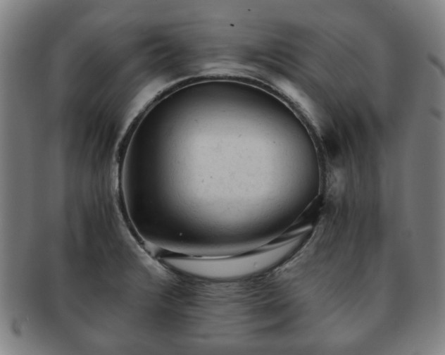 X0000091571376200708271148