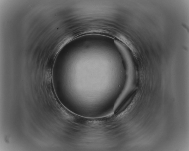 X0000091571377200708271148