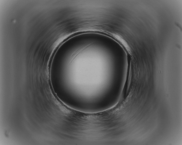 X0000091571380200708271148