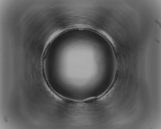 X0000091571381200708271148