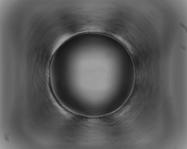 X0000091571383200708271148