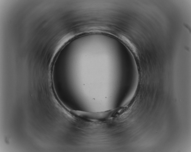 X0000091571384200708271148