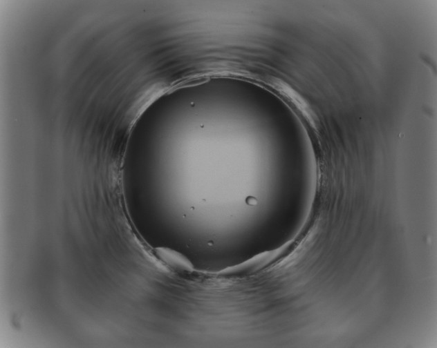 X0000091571385200708271148