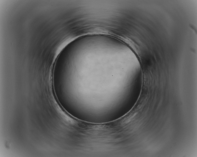 X0000091571387200708271148