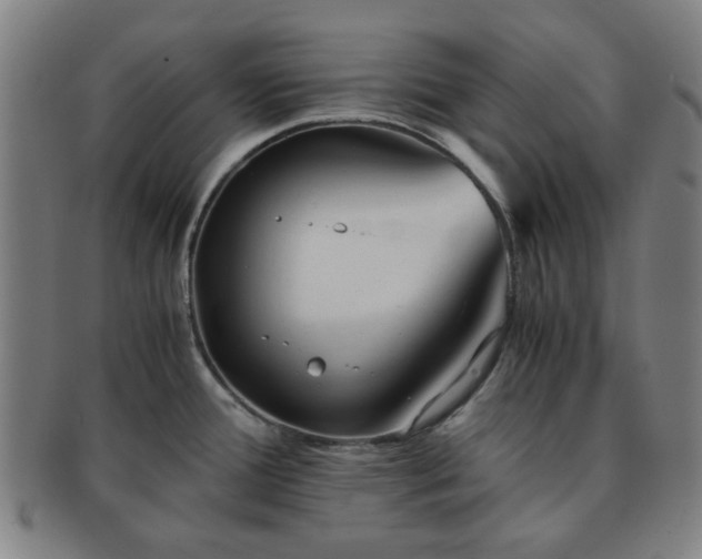 X0000091571388200708271148