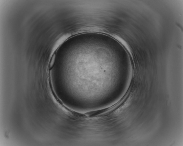 X0000091571389200708271148