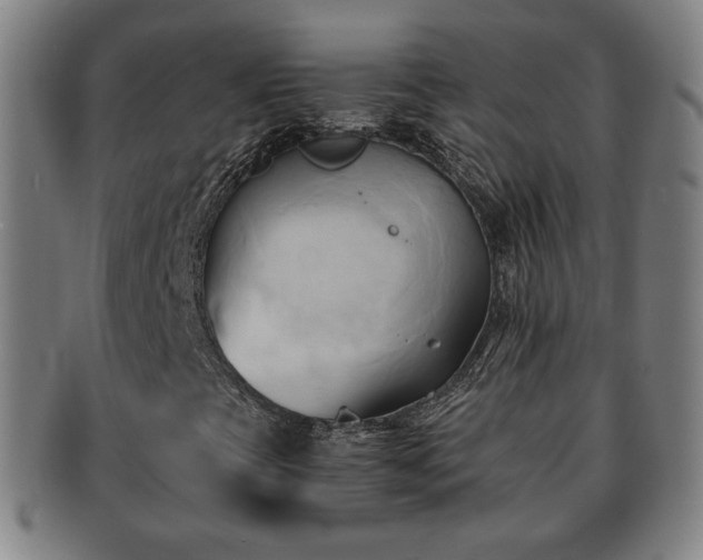 X0000091571393200708271147