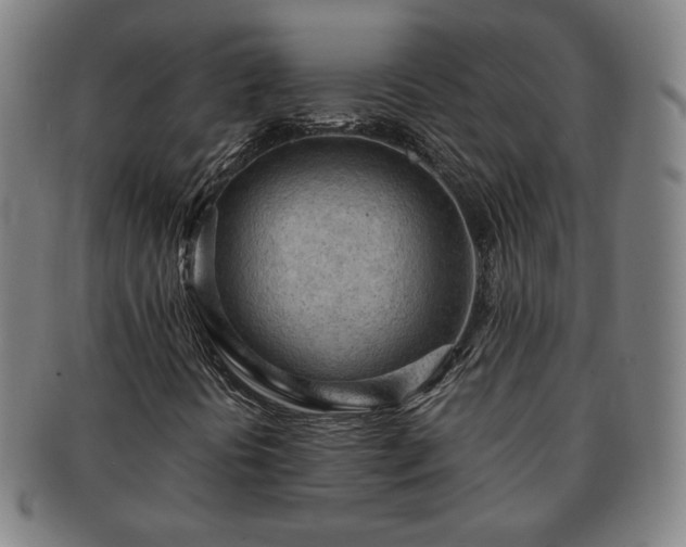 X0000091571394200708271147