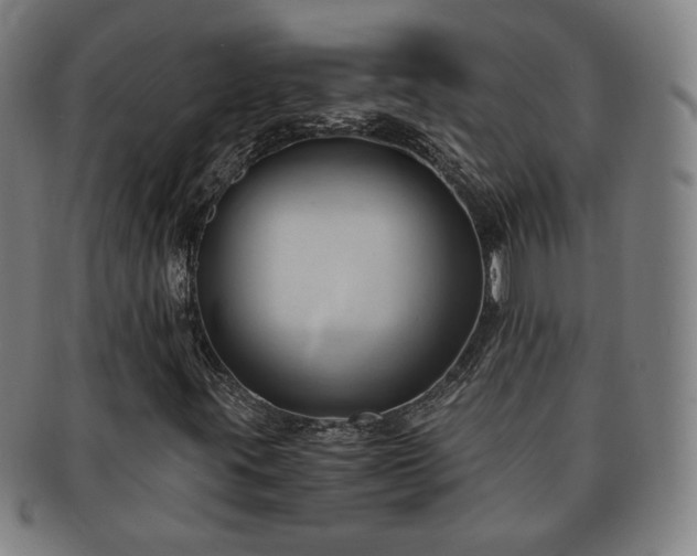 X0000091571395200708271147