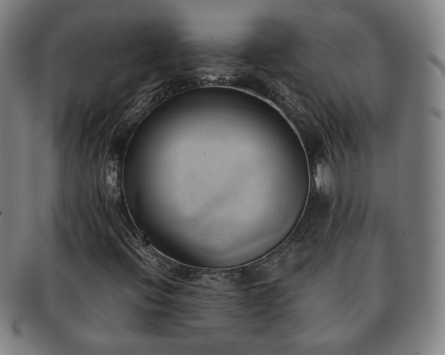 X0000091571396200708271147