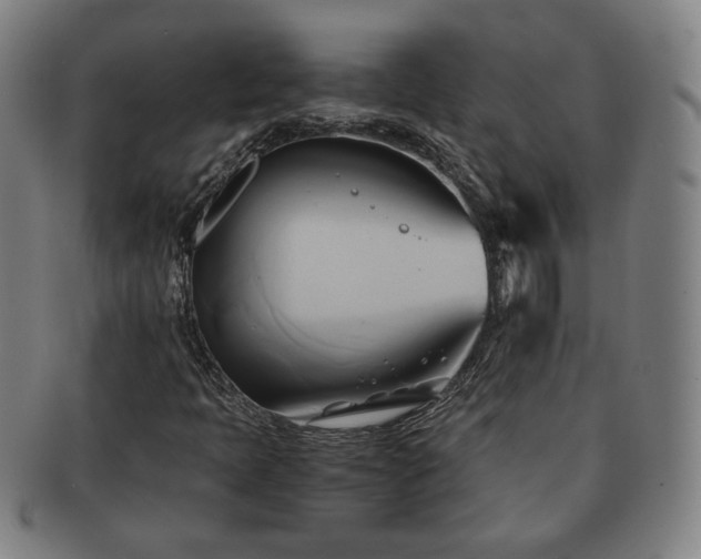 X0000091571397200708271147