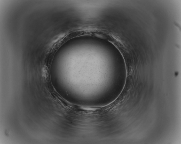 X0000091571398200708271147