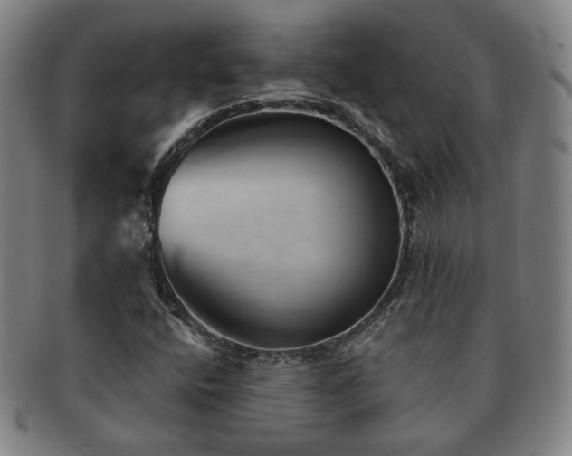 X0000091571400200708271147